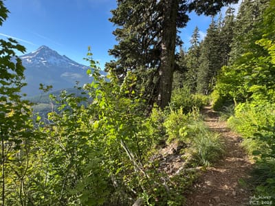 PCT 2025 Oregon Section G / Mt. Hood Wilderness - Day 28
