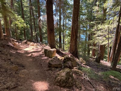 PCT 2025 Oregon Section F / Mt. Hood Wilderness Part II - Day 29