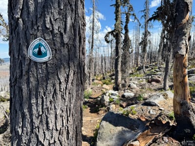 PCT 2025 Oregon Section F / Burn Zone Olallie Lake - Day 30