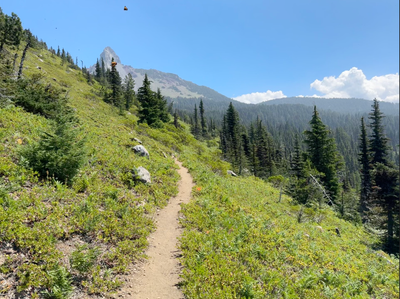 PCT 2025 Oregon Section F -E / Mt. Washington - Day 34