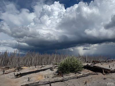 PCT 2025 Oregon Section E / Lakes Lakes Lakes + Gewitter - Day 36