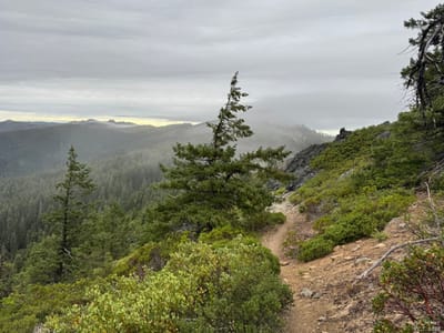 PCT 2025 California Section R / Wet Miles & Warm Ending - Day 49