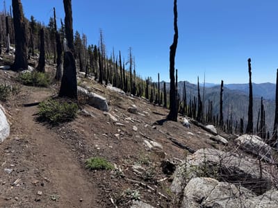 PCT 2025 California Section Q / Through BurnZone to Etna - Day 51