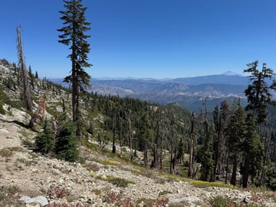 PCT 2025 California Section P / Burn Zone, a Reunion & Vastness - Day 52