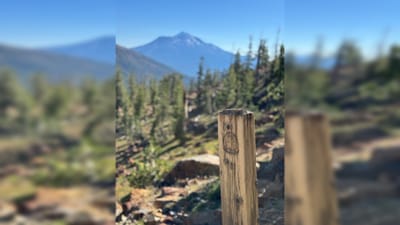 PCT 2025 California Section P / Mt. Shasta View thru Trinity Mountains - Day 54
