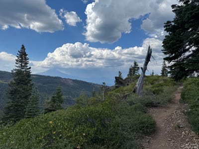 PCT 2025 California Section O / Not Every Day Is Epic - Day 57