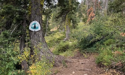 PCT 2025 California Section M / When You Know ... - Day 66