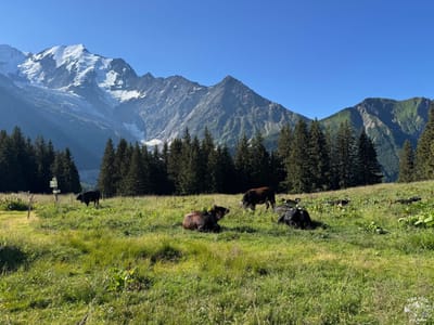 Tour du Mont Blanc – Les Houches to Refuge de la Balme / Day 1