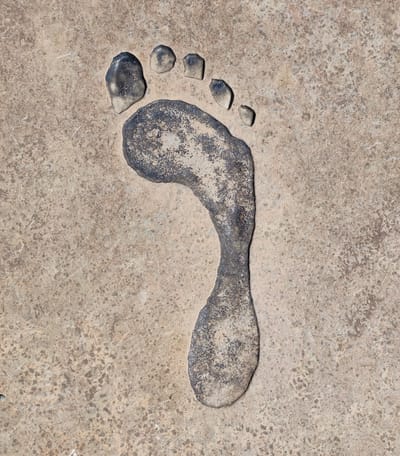 TECHNIQUE DE LA REFLEXOLOGIE image