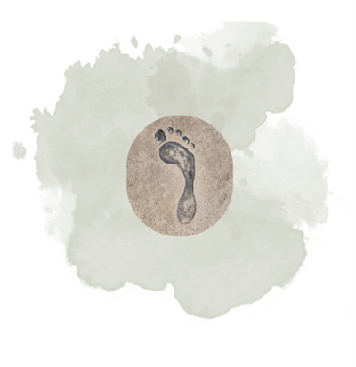 REFLEXOLOGIE &amp; SYSTEME NERVEUX image