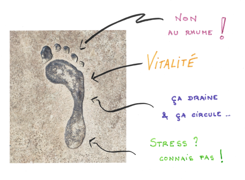 AUTOMNE EN PLEINE FORME !