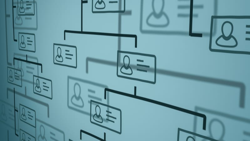 Organisational Design & Transformation.