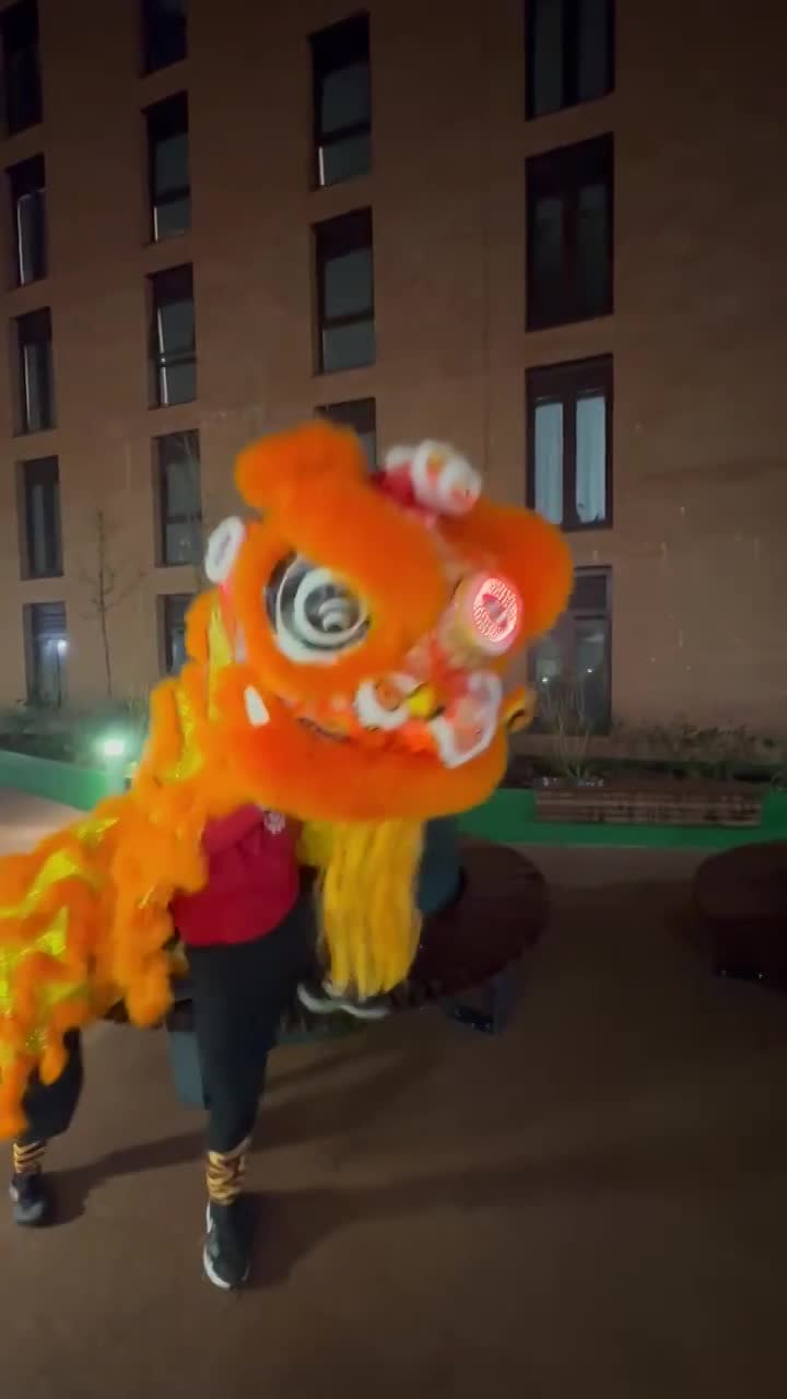 Lion Dancing video thumbnail