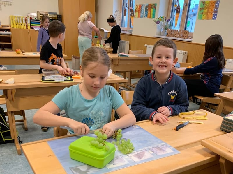 fruit salad (April 2025)