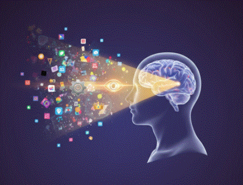 ה"מזכירה" של המוח