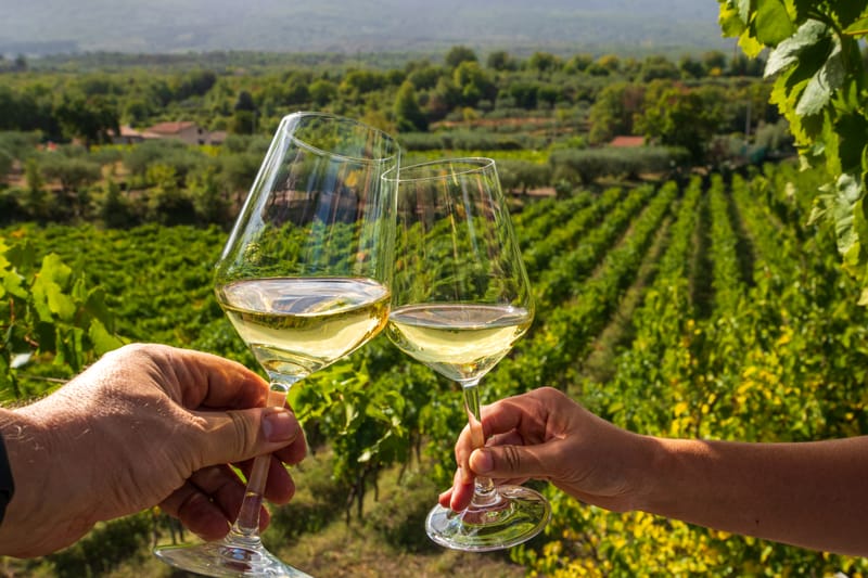 VINO