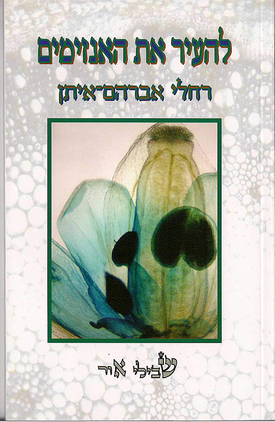 להעיר את האנזימים