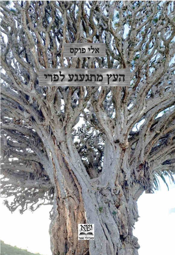 העץ מתגעגע לפרי