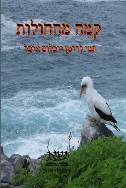 קמה מהחולות