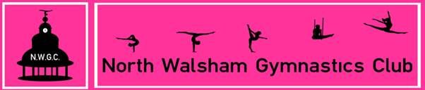 North Walsham Gymnastics Club - Non structured PLAY sessions