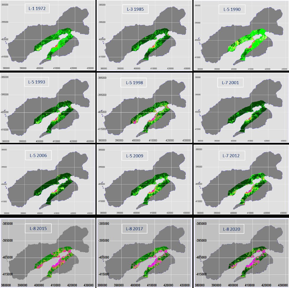 The impact of Uper-land clearing  (ULC) in Ambon Island on the lower ecosystem of Ambon Bay.