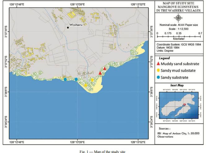 Global warming potential of nitrous oxide fluxes from sediments of mangrove ecosystem in Waiheru coastal area, Ambon Bay I Kesaulya & Rahman*