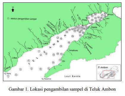 KELIMPAHAN FORAMINIFERA RESEN PADA SEDIMEN PERMUKAAN DI TELUK AMBON THE ABUNDANCE OF RECENT FORAMINIFERA IN SURFACE SEDIMENT OF AMBON BAY