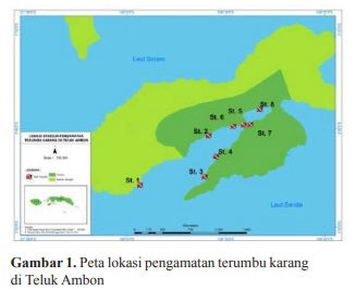 Status Kondisi Terumbu Karang di Teluk Ambon Coral Reefs