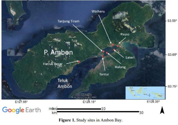 Changes in the Ambon Bay Seagrass for the Past Five Years (2011 – 2016)