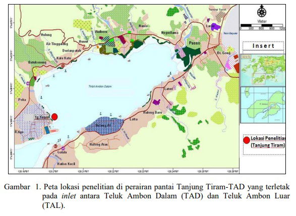 KOMPOSISI SPESIES DAN STRUKTUR KOMUNITAS IKAN PADANG LAMUN DI PERAIRAN TANJUNG TIRAM – TELUK AMBON DALAMTHE COMPOSITION OF SPECIES AND STRUCTURE OF SEAGRASS FISH COMMUNITY IN TANJUNG TIRAM – INNER AMBON BAY