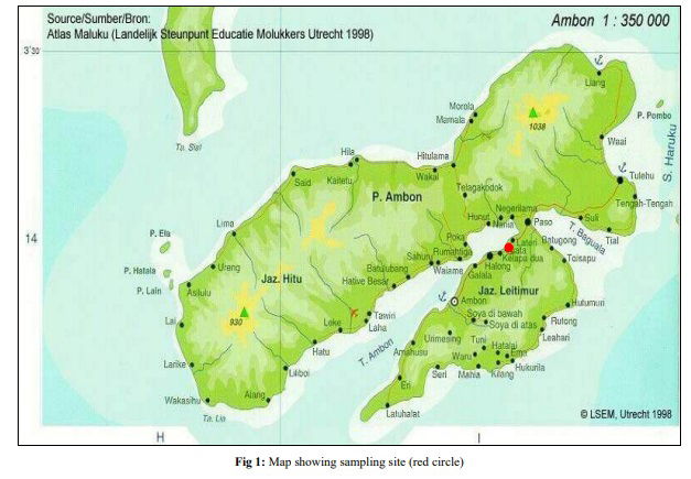 Community structure of fish in inner Ambon bay, Maluku, Indonesia