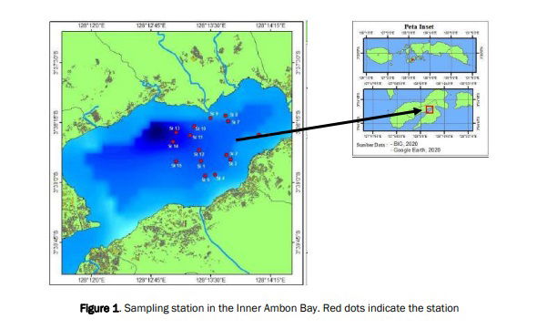 The Abundance of Gonyaulax polygramma and Chaetoceros sp. Causing Blooming in Ambon Bay, Maluku
