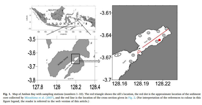 Dinoflagellate cyst distribution in surface sediments of Ambon Bay (eastern Indonesia): Environmental conditions and harmful blooms