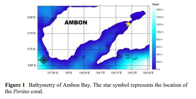 Reconstruction of Sea Surface Temperature Data based on the Sr/Ca of Porites Coral in Ambon Bay