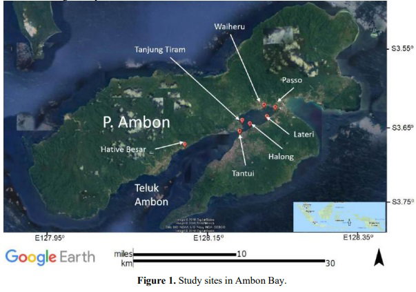 Changes in the Ambon Bay Seagrass for the Past Five Years (2011 – 2016)