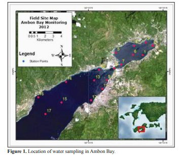 ESTIMATION OF SEASONAL VERTICALLY INTEGRATED PRIMARY PRODUCTIVITY IN AMBON BAY USING THE DEPTH-RESOLVED, TIME-INTEGRATED PRODUCTION MODEL
