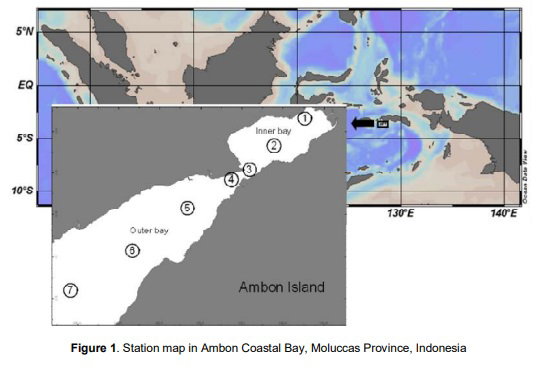 Coastal Acidification as Nutrients Over Enrichment Impact: A Case Study in Ambon Bay, Indonesia
