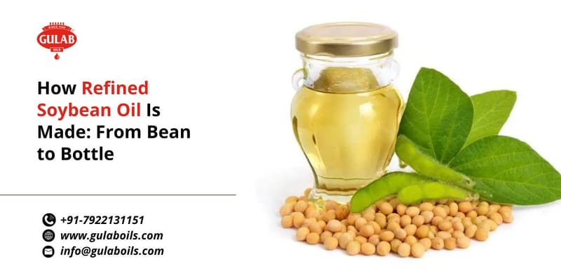 How Refined Soybean Oil Is Made: From Bean to Bottle