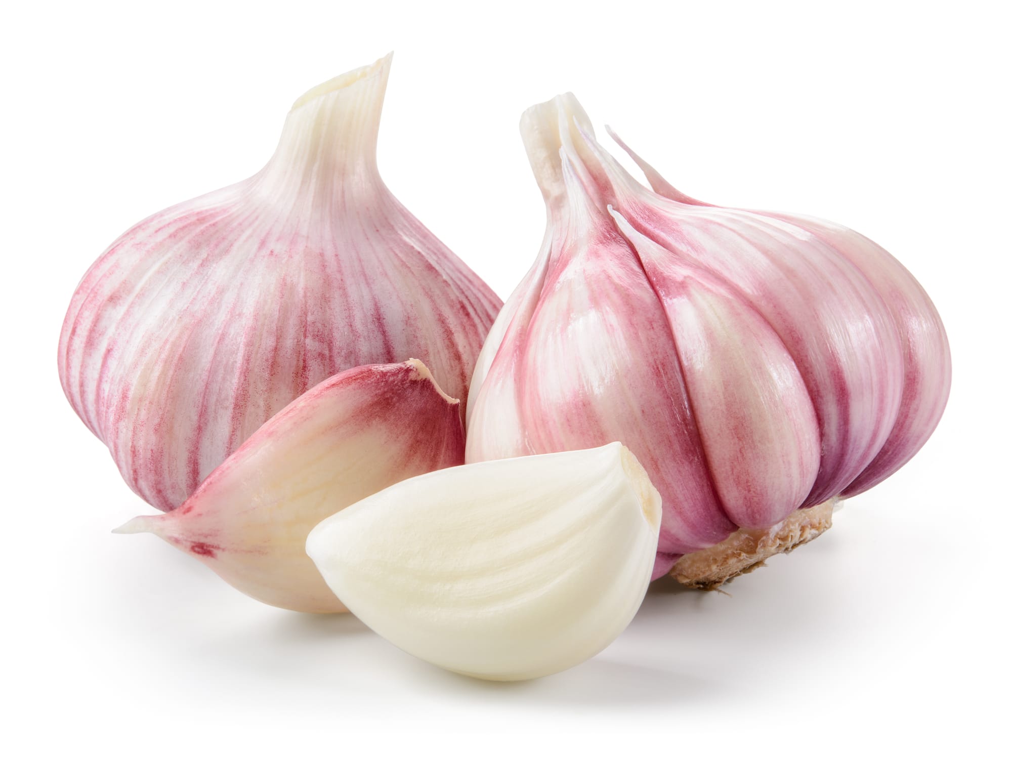 Vitlök (Allium sativum): Ursprung, mytologi och 80 praktiska recept