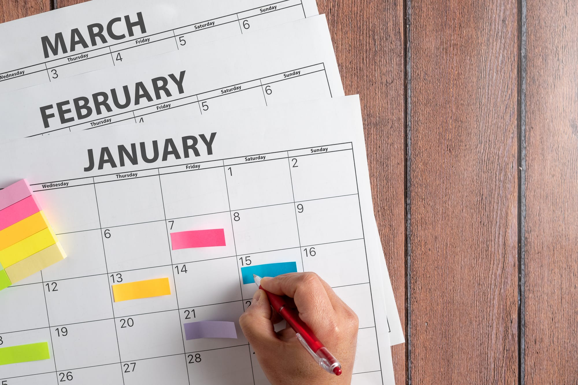 Stor såkalender månad för månad – när ska man så?