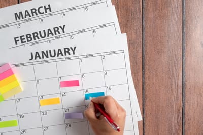 Stor såkalender månad för månad – när ska man så?
