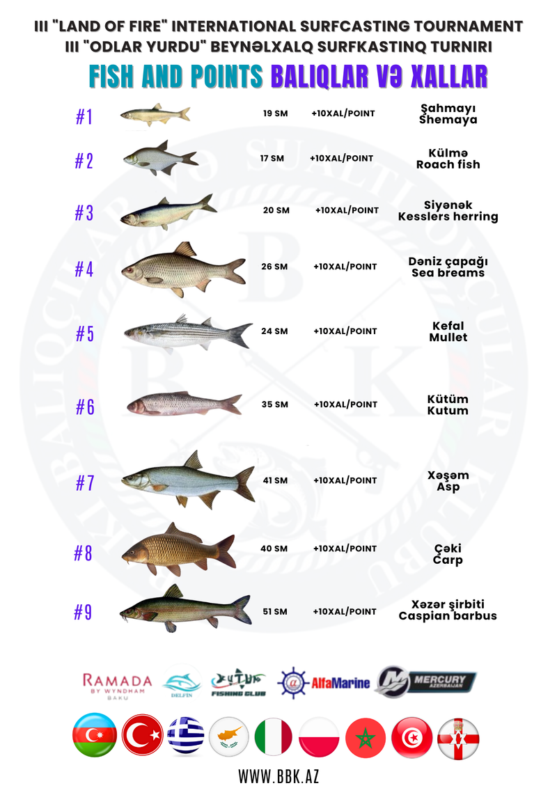 Balıqlar və xallar Fish and points