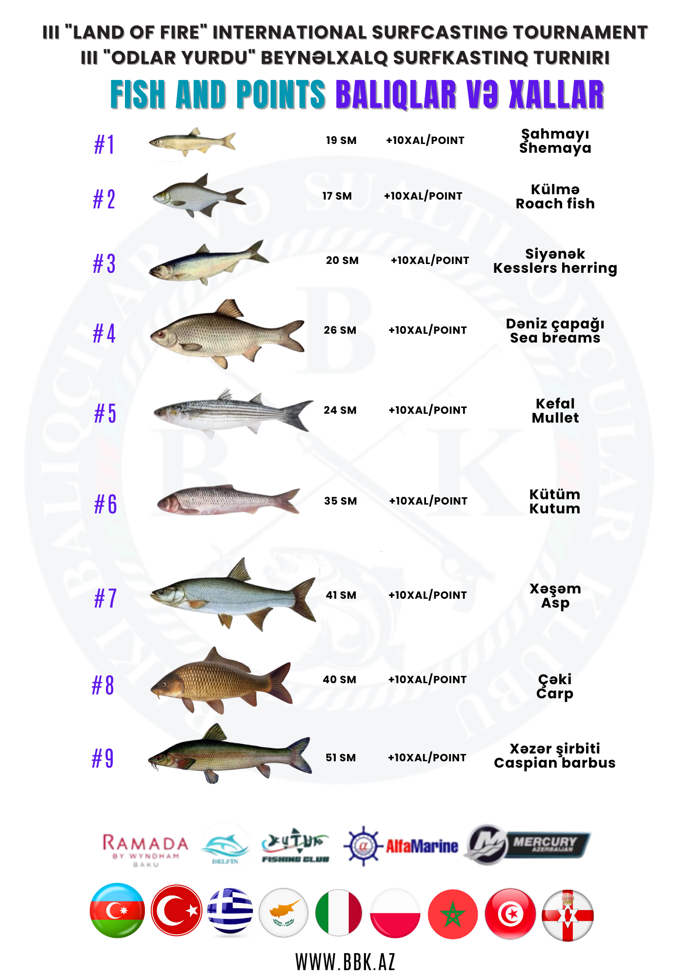 Fish and points Fish and points