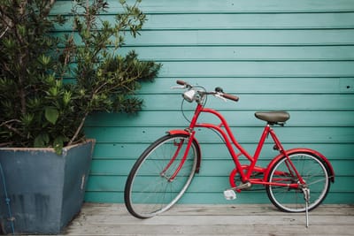 אנסין באנגלית לכיתה ו' - Ben's New Bike