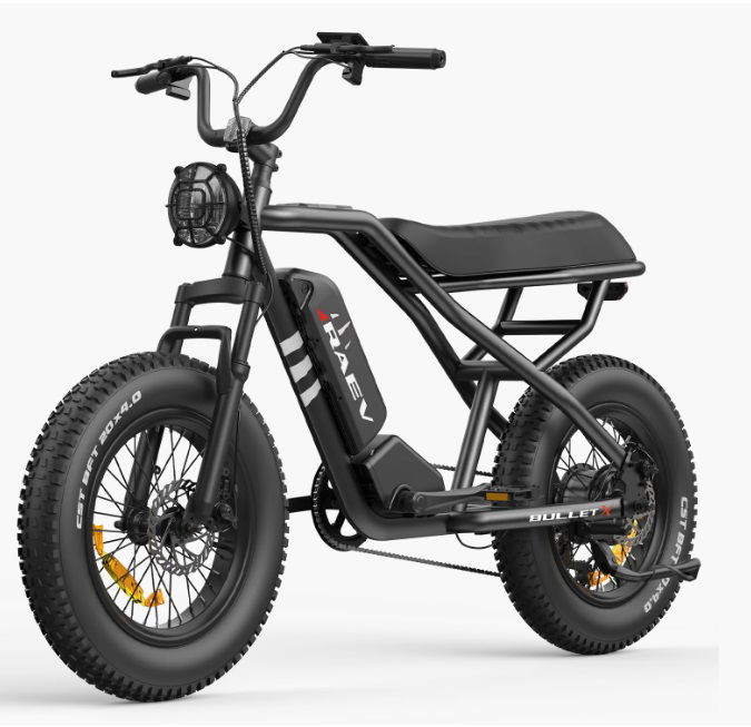 Raev X SE Bullet X E Bike