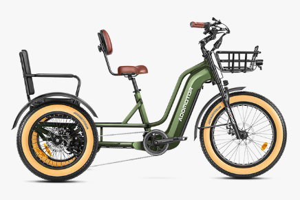 GranTan L Passenger E Trike