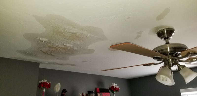 Travaux peinture après dégât des eaux