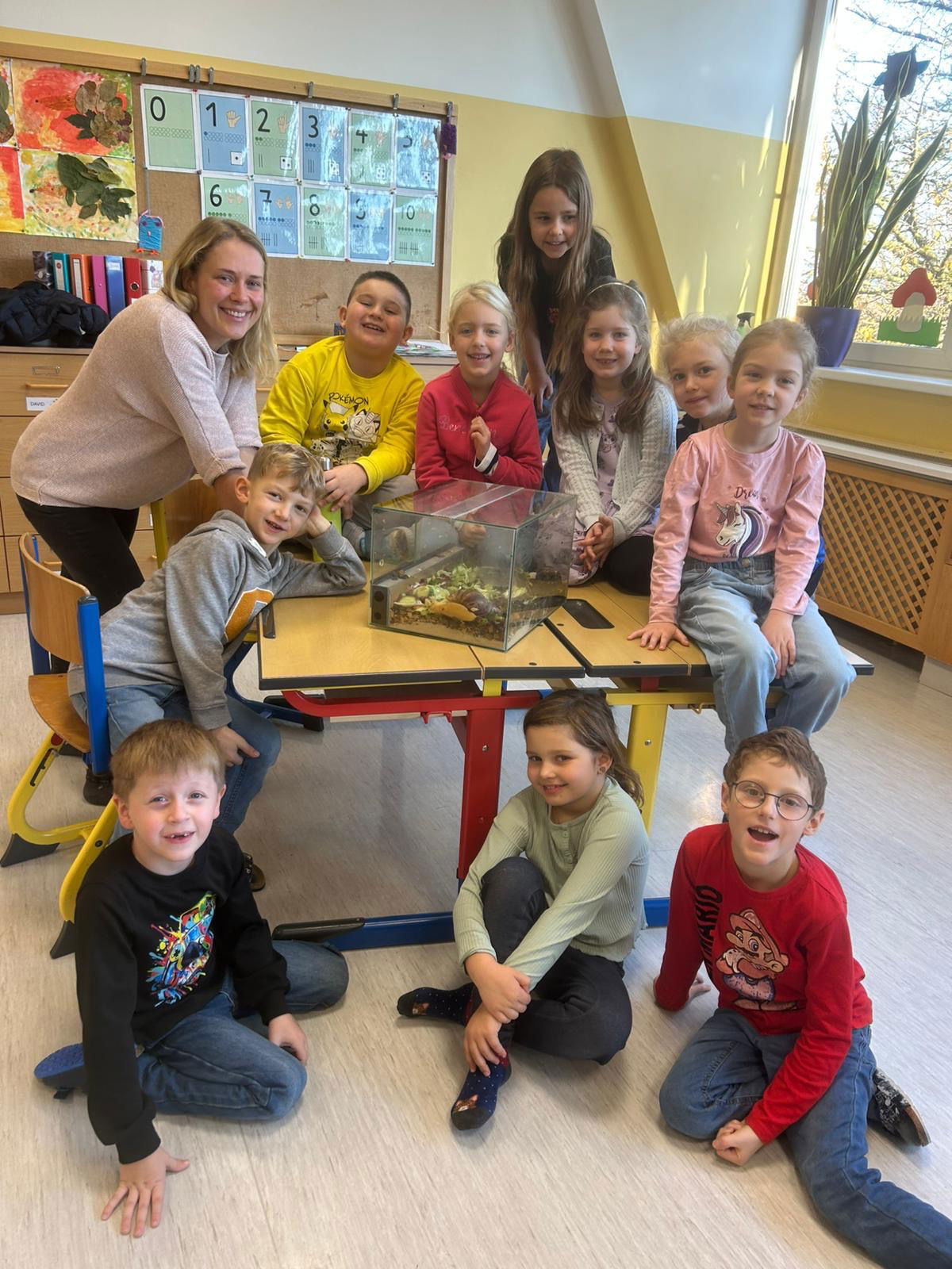 Achatschnecken in der ersten Klasse (November 2025)