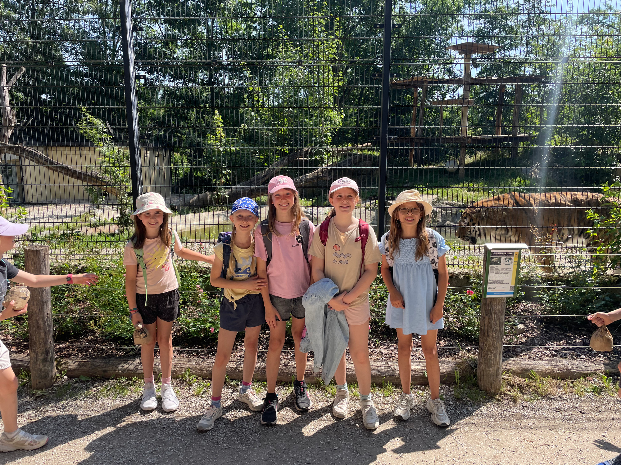 Ausflug in den Tierpark Haag (Juni 2026)