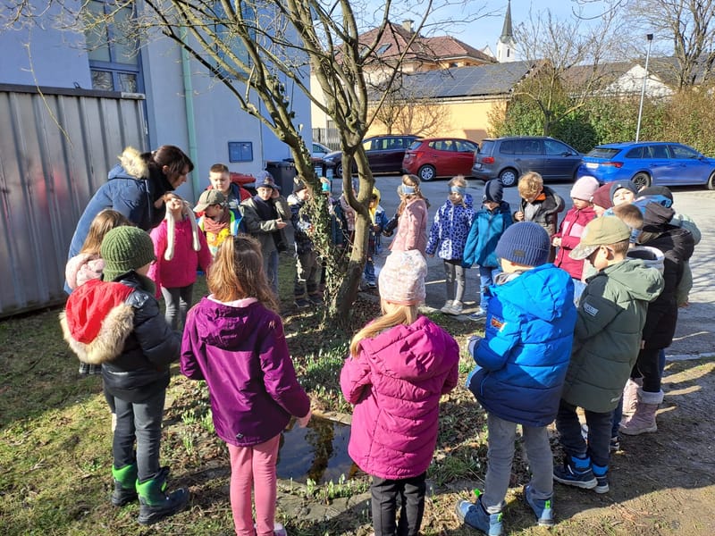 Was blüht denn da? (März 2026)